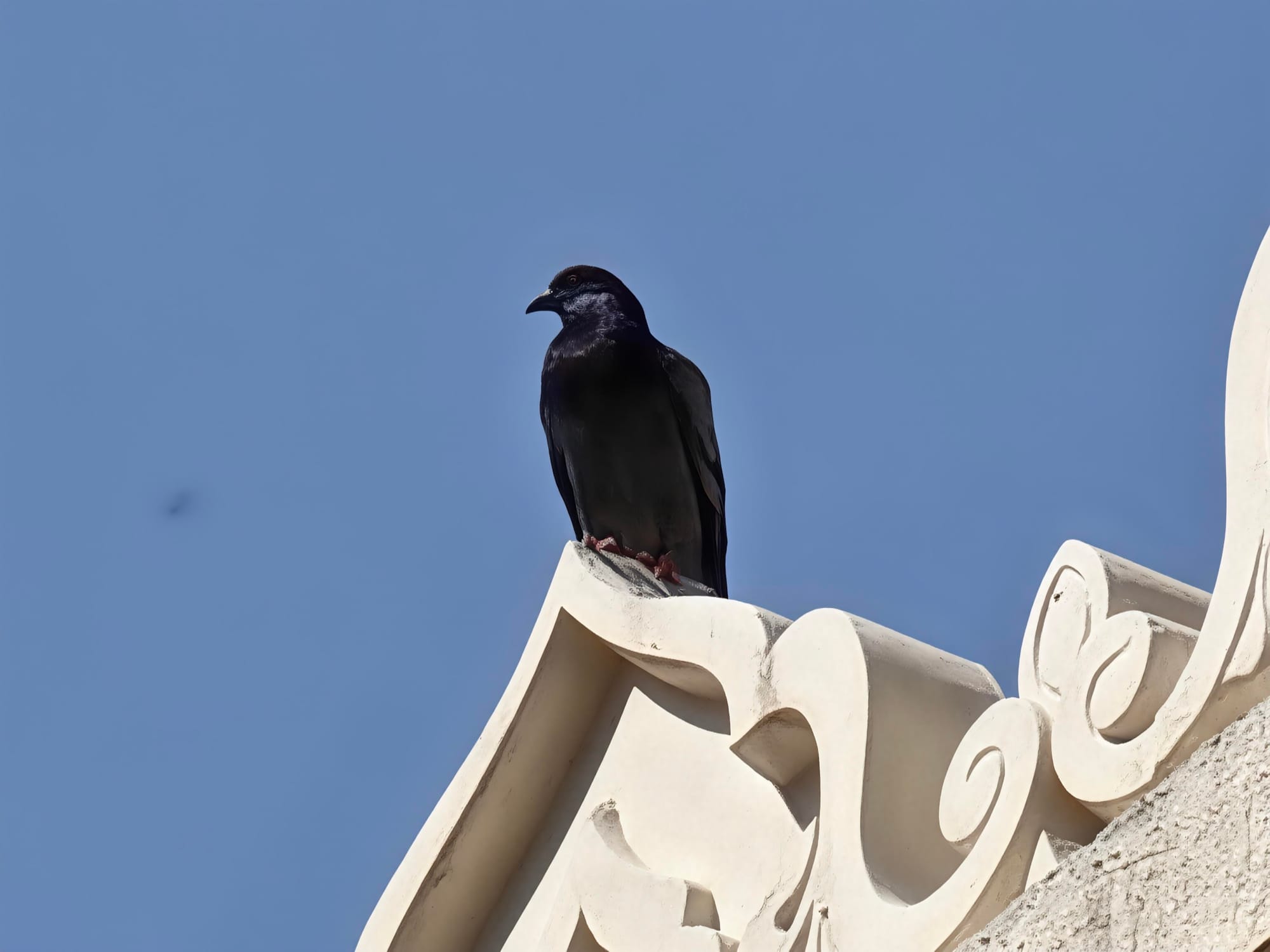 Honor 600 Pro in hand, illustrating its ergonomics and lightweight design.