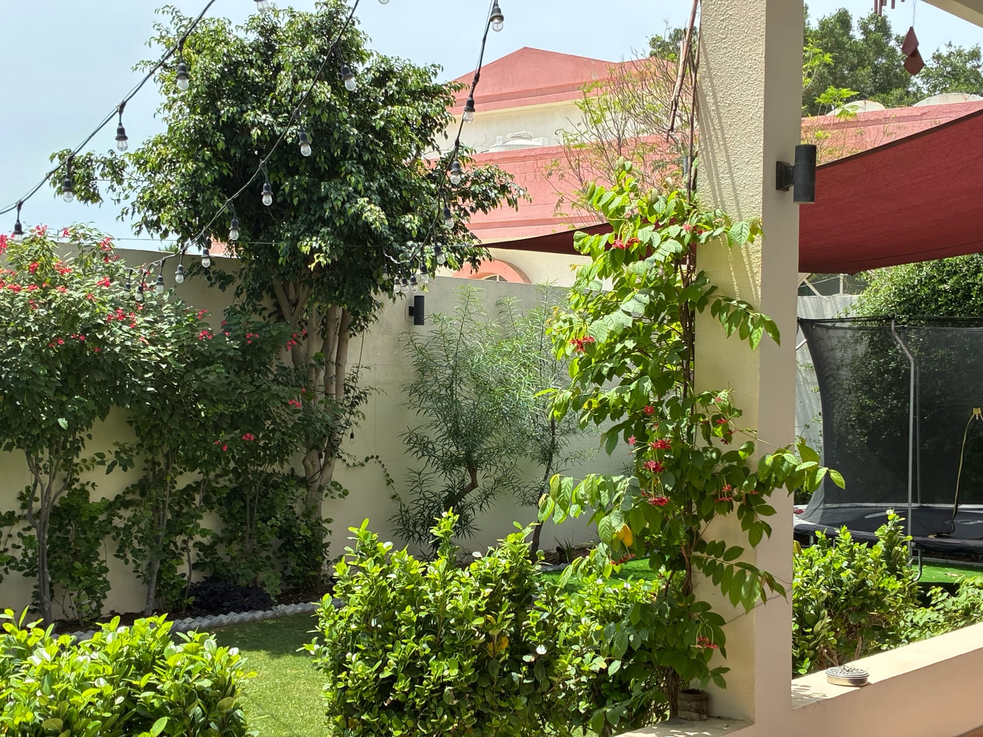 Daytime photo of a garden with plants and trees.