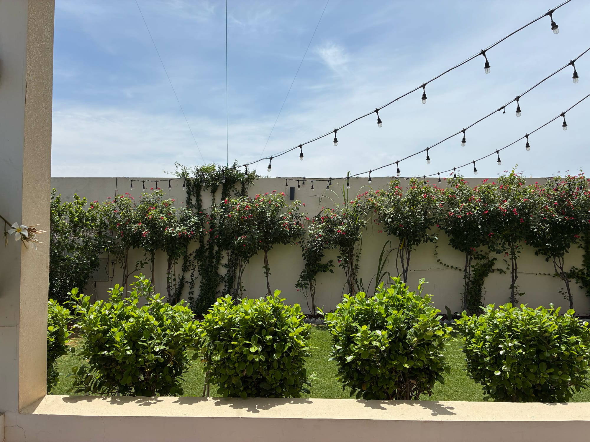 View of a garden wall adorned with flowering plants.