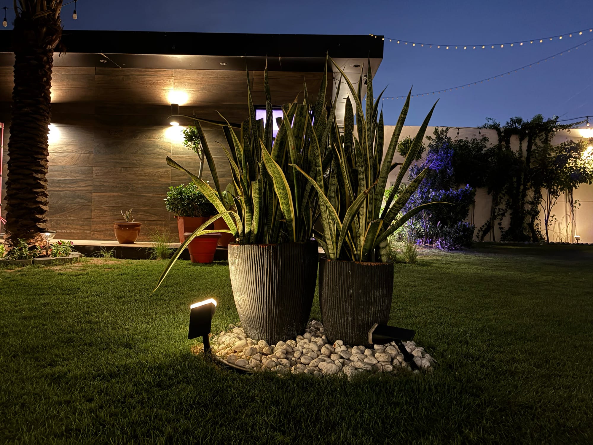 iPhone 17e showcasing potted plants with decorative lights in a garden during twilight.