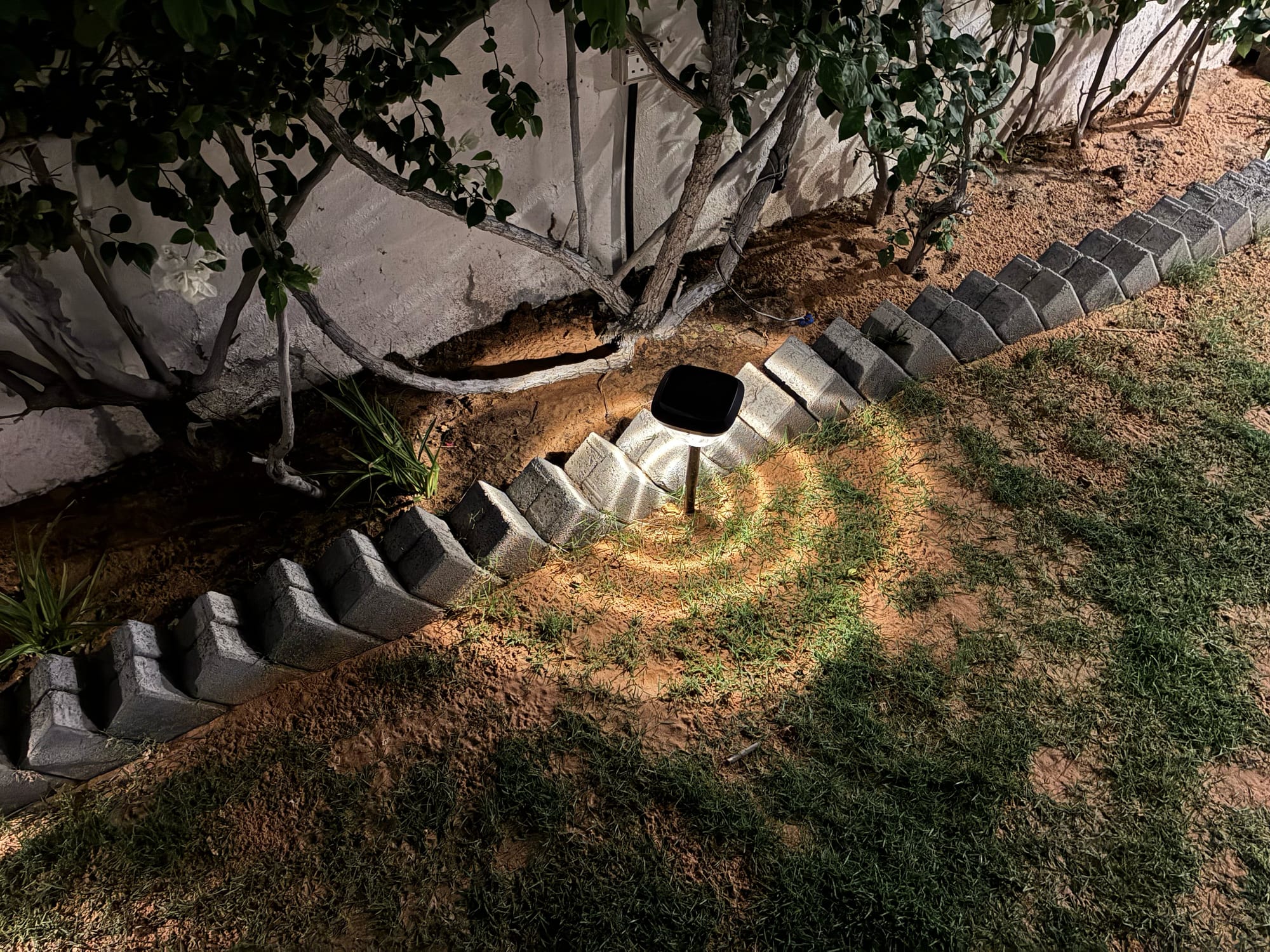 iPhone 17e capturing nighttime landscape with lights illuminating a garden bed.