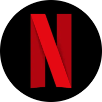 Netflix logo displayed prominently in red and black.