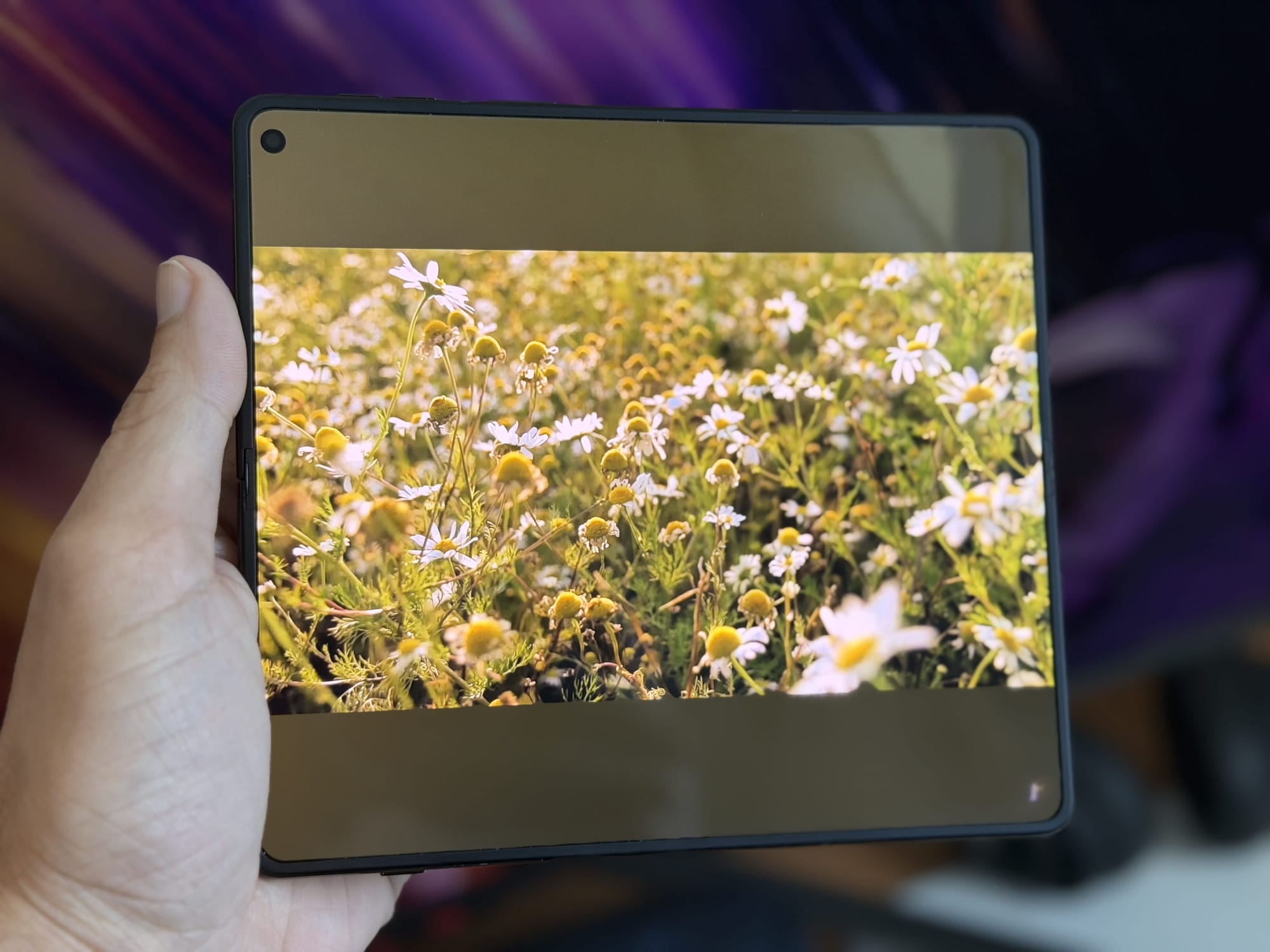 Motorola Razr Fold showcasing a vibrant photo of flowers on the display.