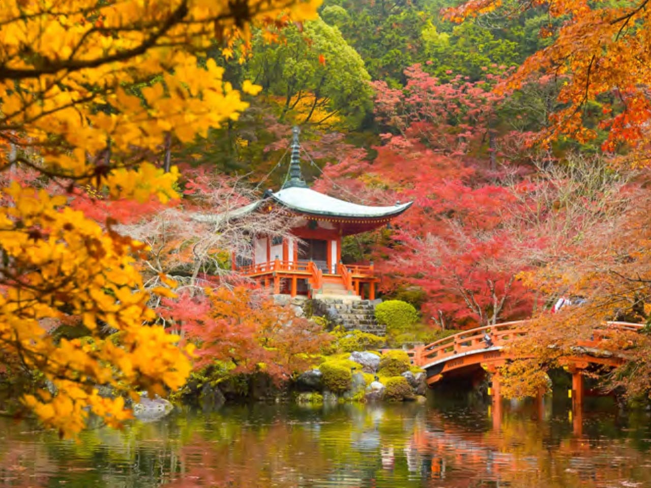 Where to travel in November 2025 from the UAE