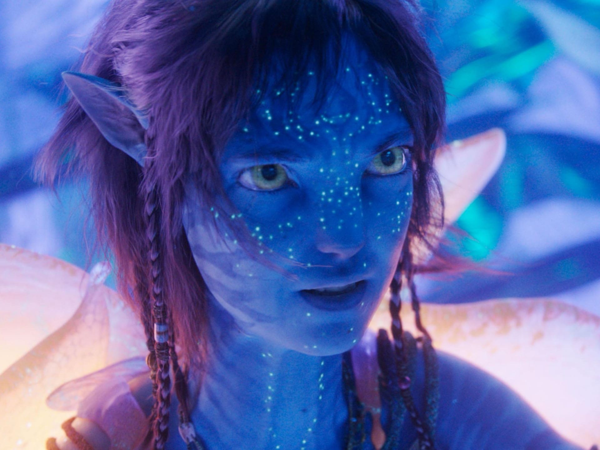 What to Watch This Week in UAE: New Movies and Shows (Week of 15 December 2025)