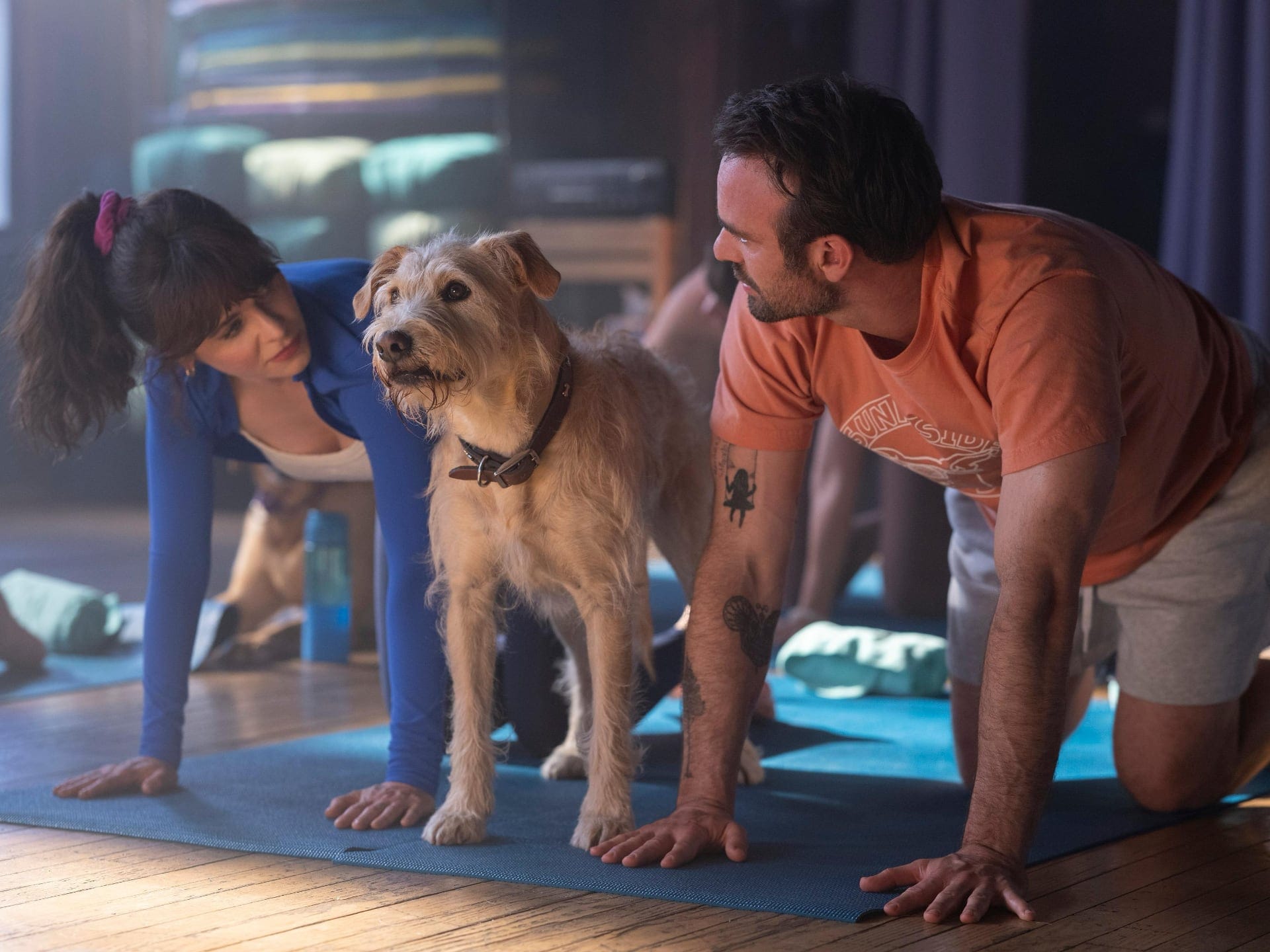 New on Prime Video UAE This Week: Merv