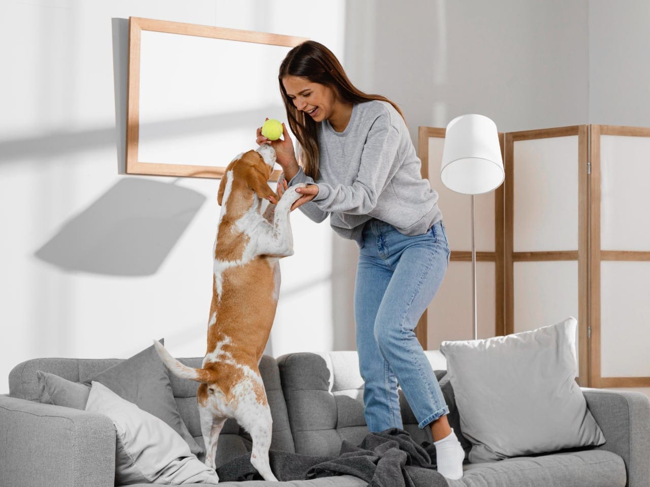 The Petshop Super App UAE launches for comprehensive pet care