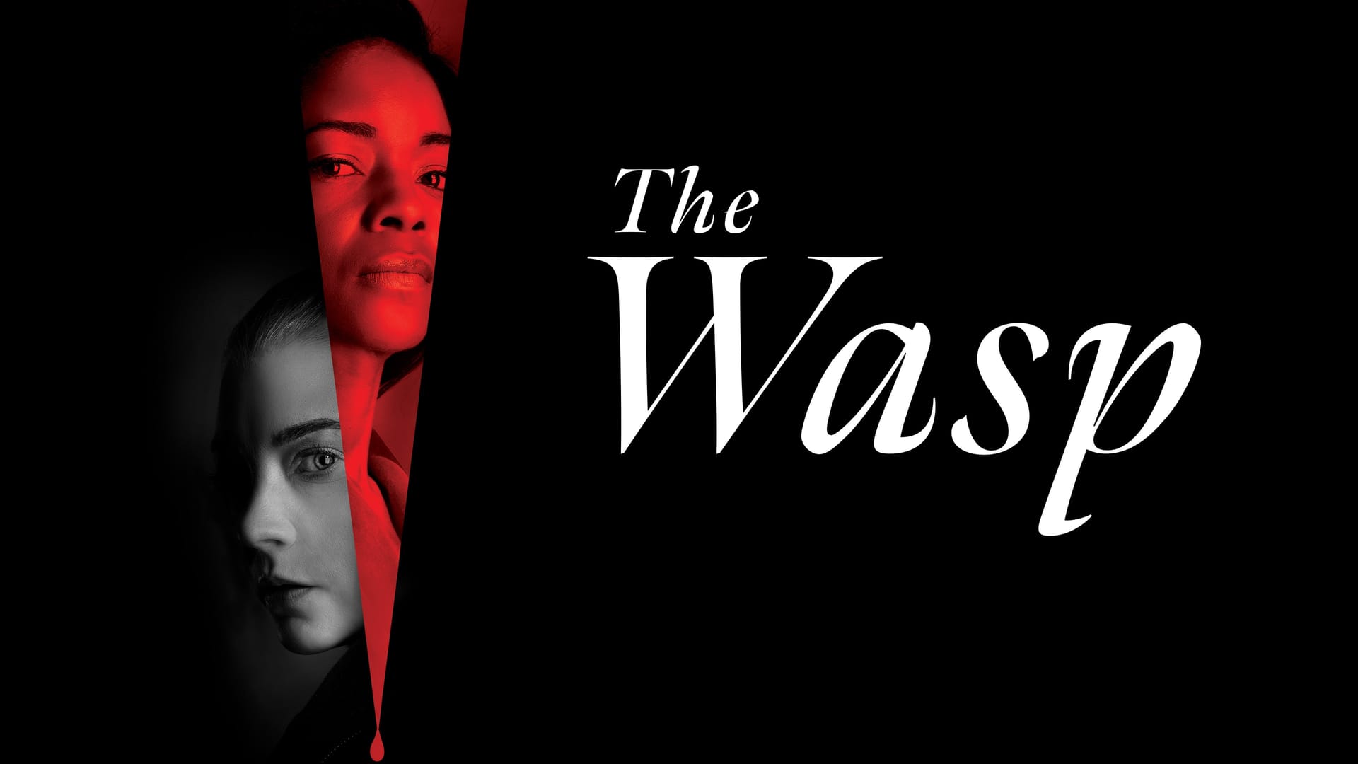 New on StarzPlay UAE This Week (February 2, 2026)