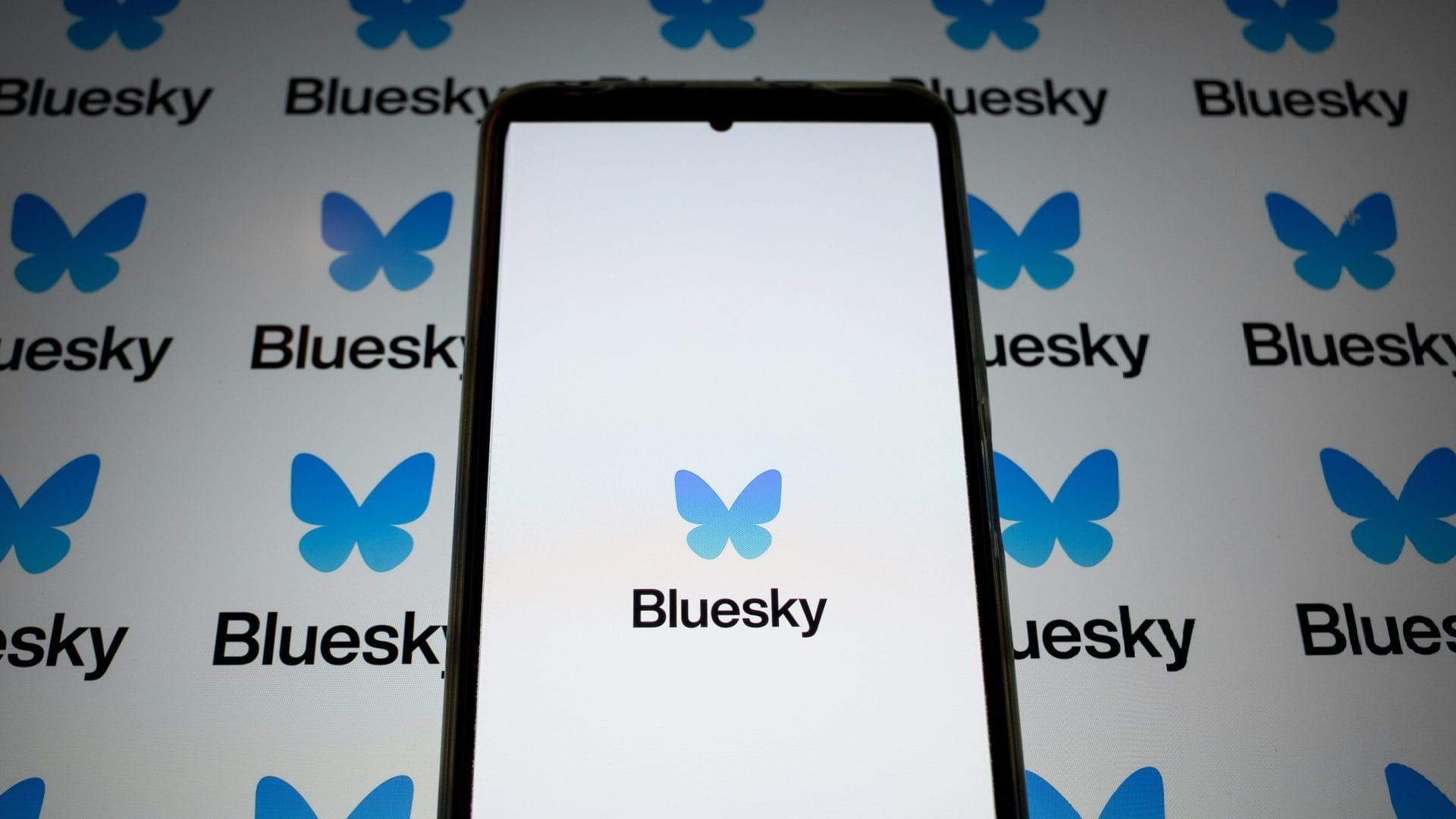 Bluesky down for nearly a full day after DDoS attack