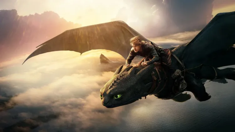 How to Train Your Dragon 2 Crew Member Injured in Workshop Accident