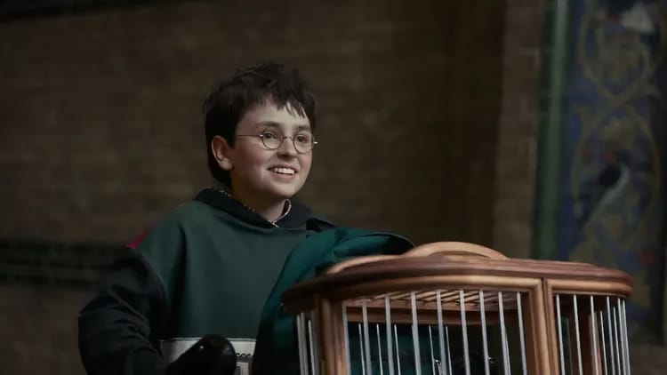 HBO renews Harry Potter for Season 2, production starts this fall