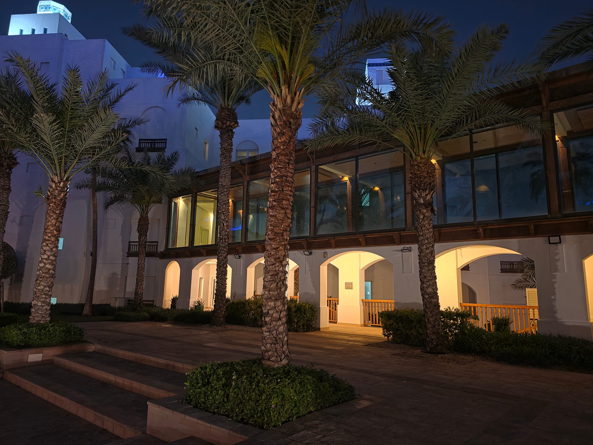 Night scene showing palms and illuminated pillars in a courtyard