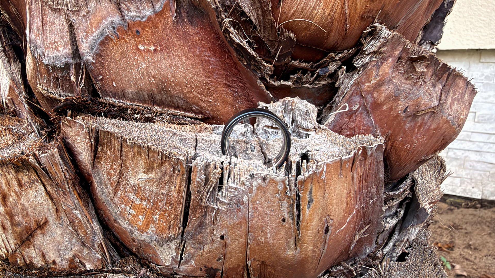 Oura Ring 5 Review: The Best Smart Ring Gets Easier to Live With