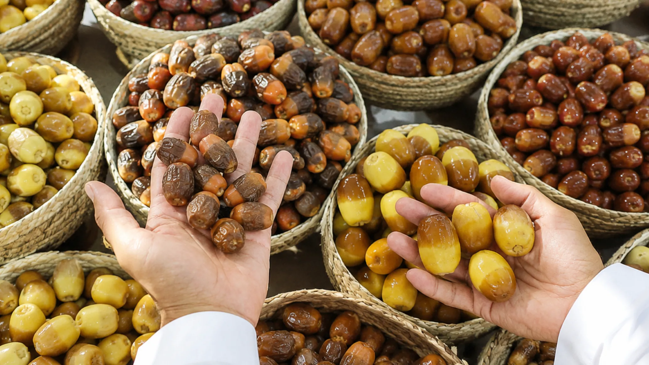Al Wathba Date Festival opens with 440kg of dates, mangoes and AED 5.7m in prizes