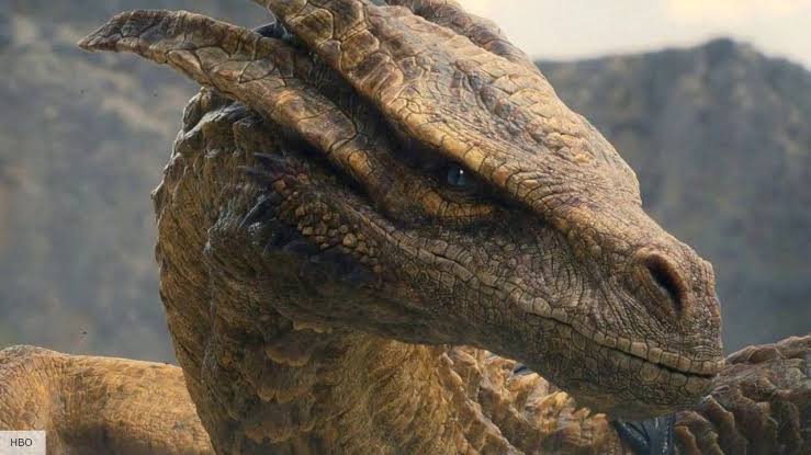 Scientists Named a New Thai Lizard After House of the Dragon’s Syrax — And the Reason Makes Perfect Sense