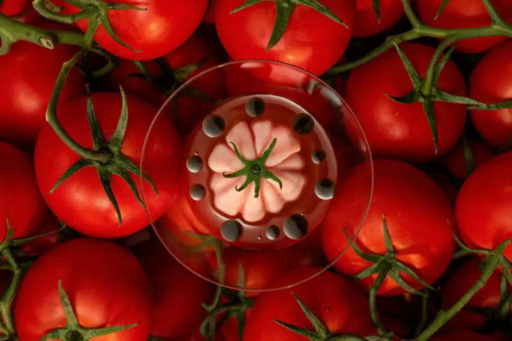 Tomatini Sorbet: LPM Abu Dhabi’s Summer Dessert Is AED 55