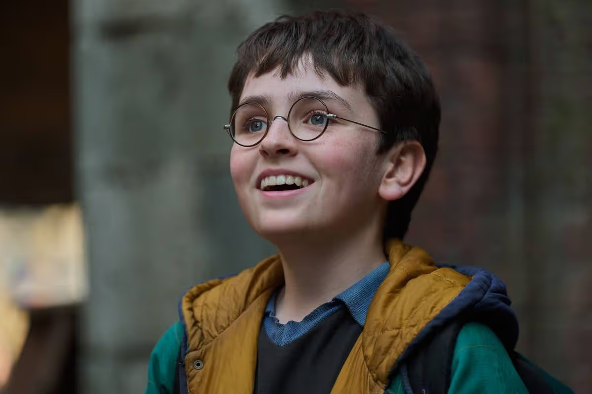 Harry Potter HBO casting adds Dobby and young Voldemort