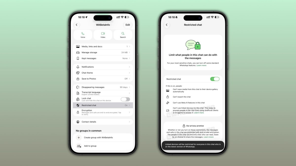 WhatsApp Restricted Chat settings screen on iPhone with privacy controls